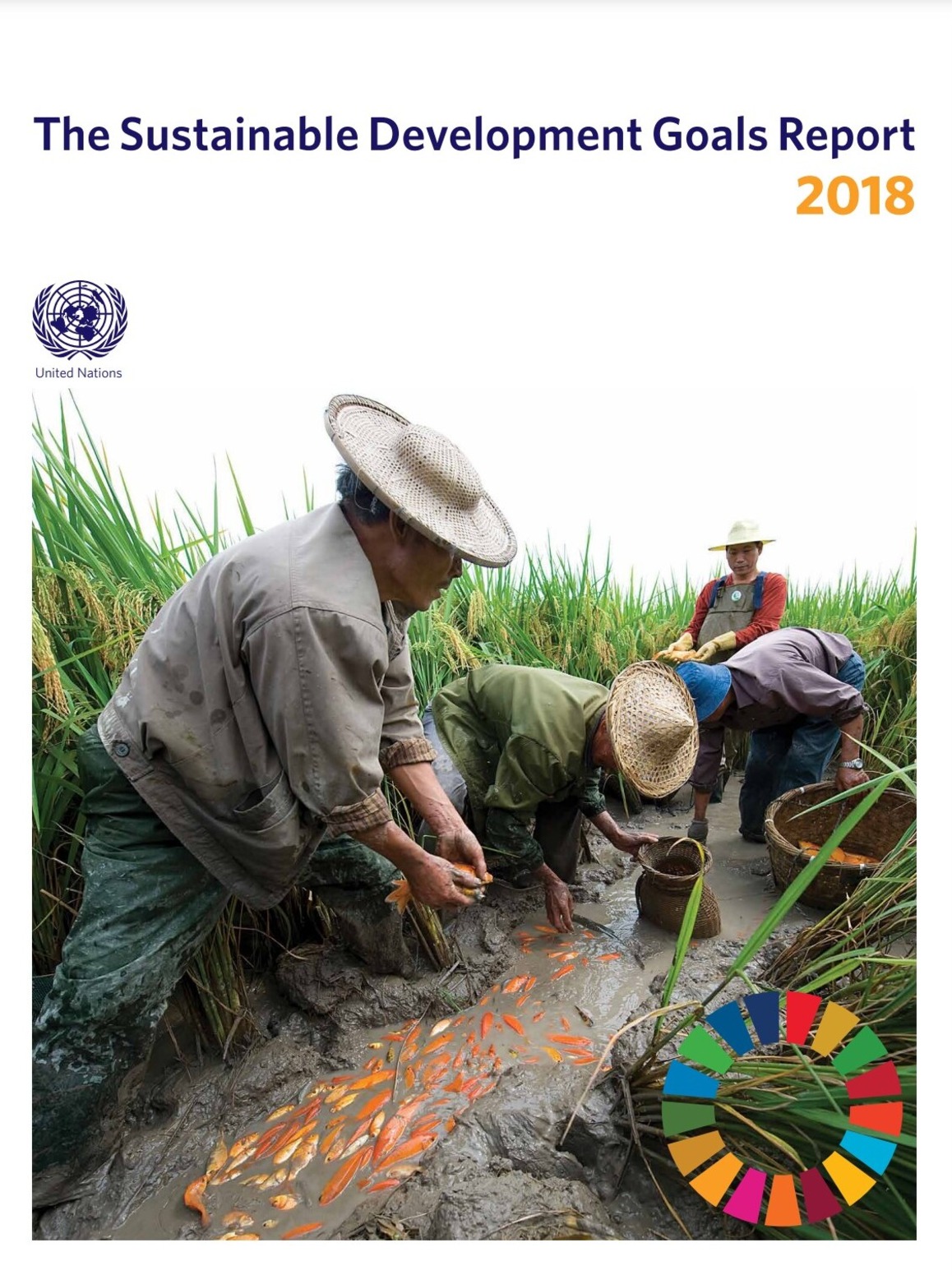 SDG Report 2018